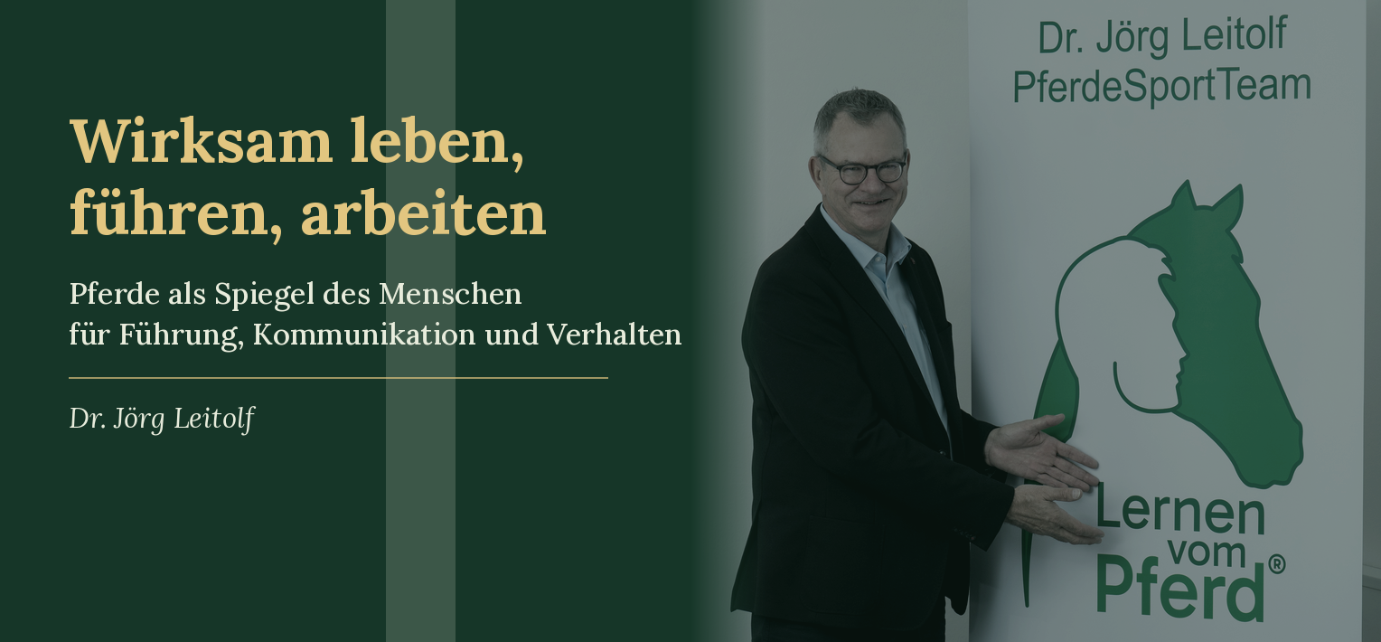 Lernen vom Pferd